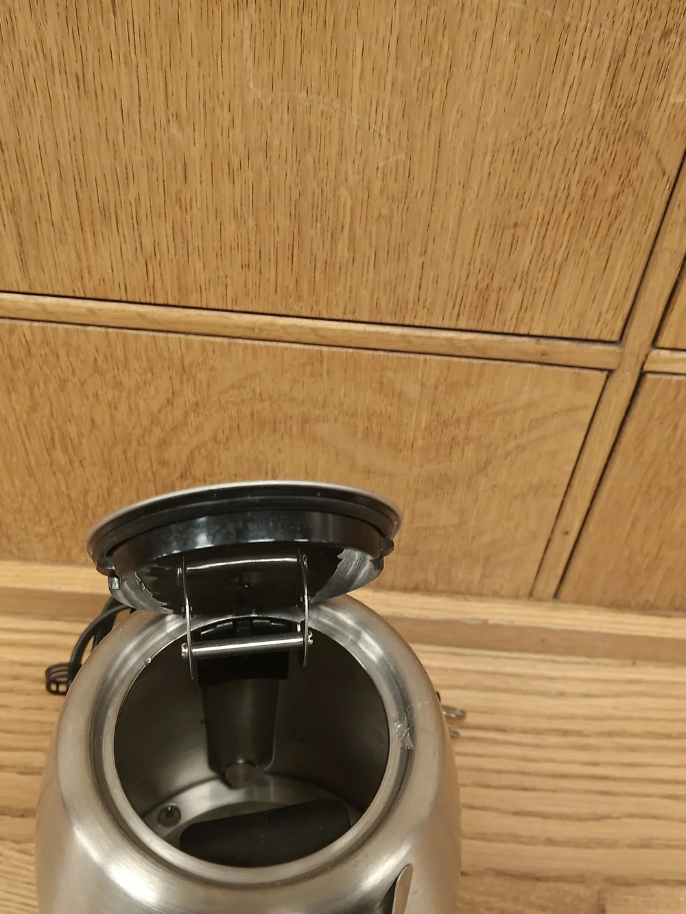 Cuisinart Stainless Steel Electric Kettle with Black Handle